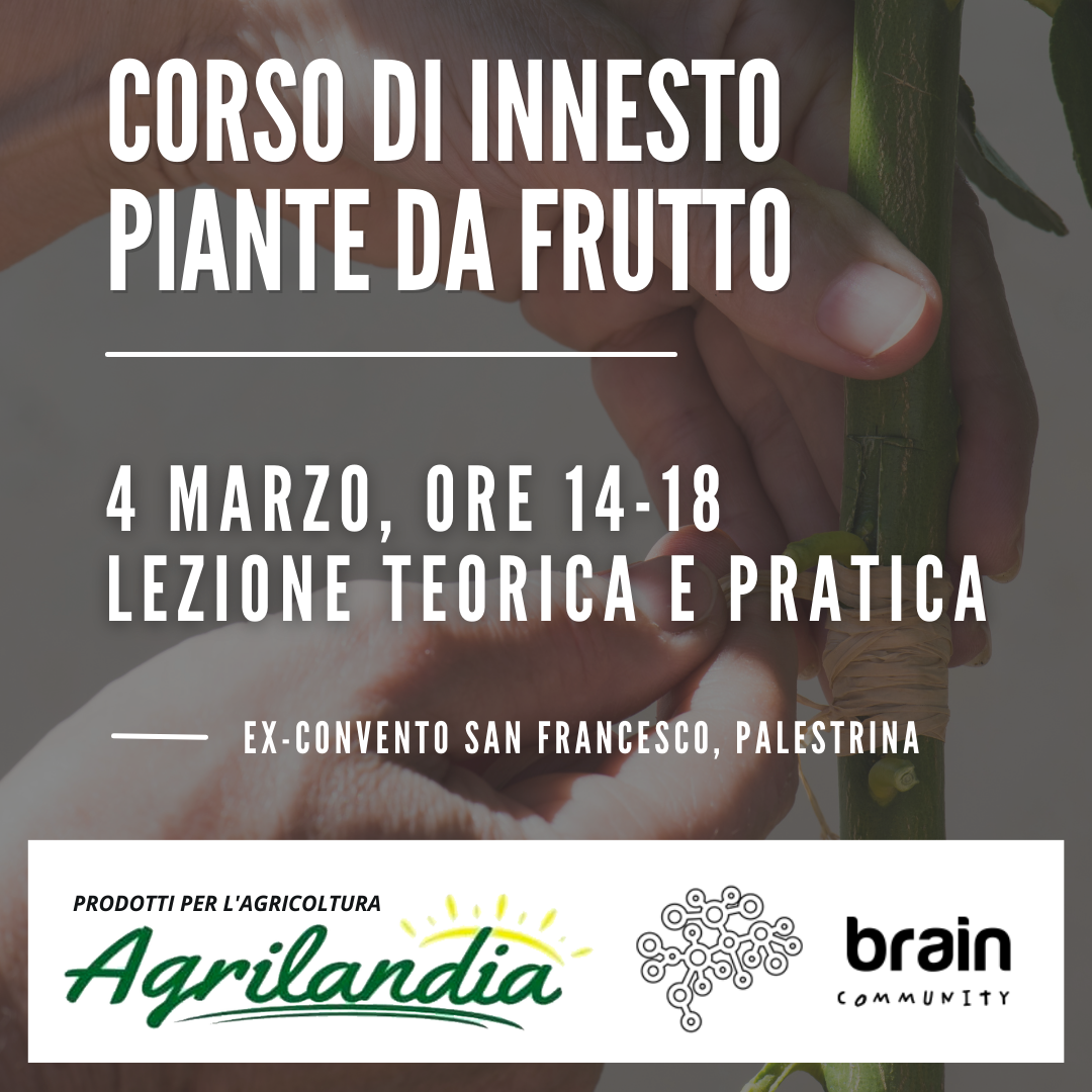 Corso di innesti organizzato da Braincommunity