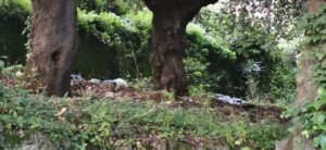 Parco Matteotti