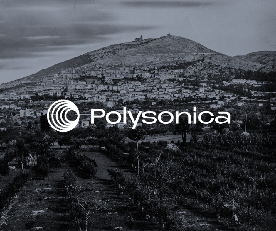 Polysonica