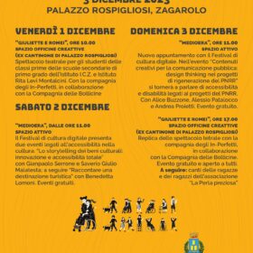 disabilità