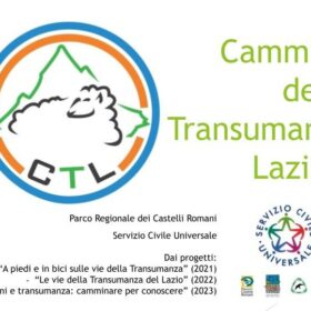 Servizio civile