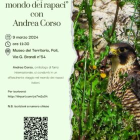 Ecosistemi del Sapere