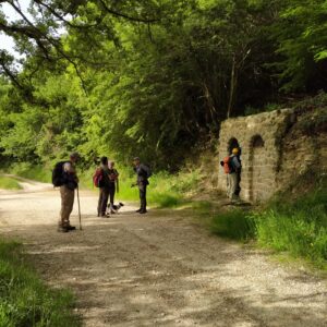 ALLEANZA PRENESTINA