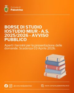 borse di studio