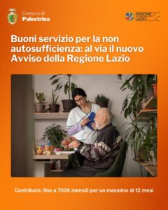 non autosufficienza