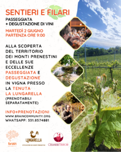 sentieri e filari