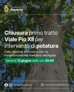Palestrina