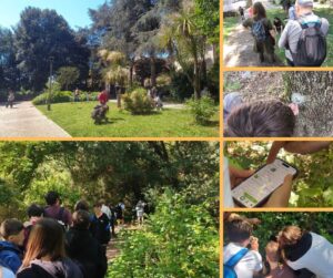 City Nature Challenge 2026