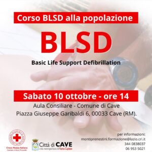 CORSO BLSD